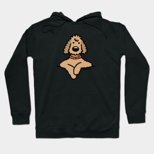 Poodle Doodle Dog Apricot Cute Cartoon Dog Hoodie